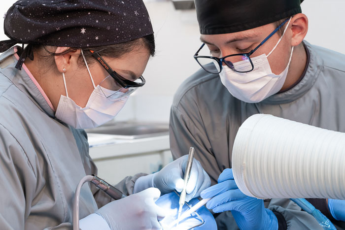 The patient is having a dental consultation in Mexico for Zirconia implants.